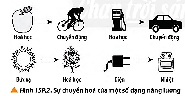 Hãy chỉ ra sự chuyển hóa năng lượng trong các quá trình được cho trong Hình 15P.2.   (ảnh 1)