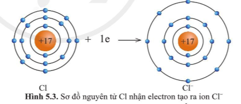 Quan sát hình 5.2 và hình 5.3, cho biết lớp vỏ của các ion Na+, Cl- tương tự (ảnh 2)