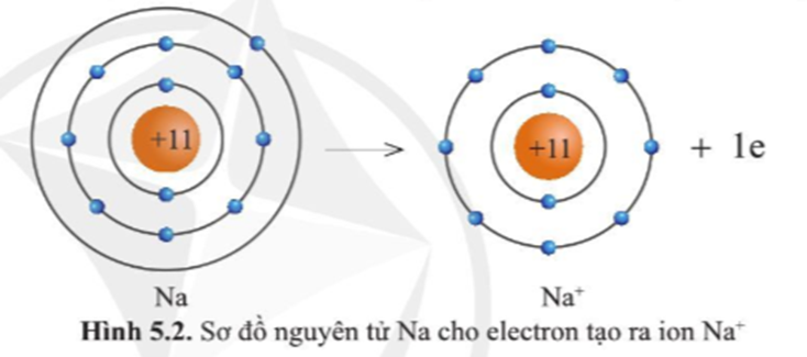Quan sát hình 5.2, hãy so sánh về số electron, số lớp electron giữa nguyên tử Na và ion  (ảnh 1)