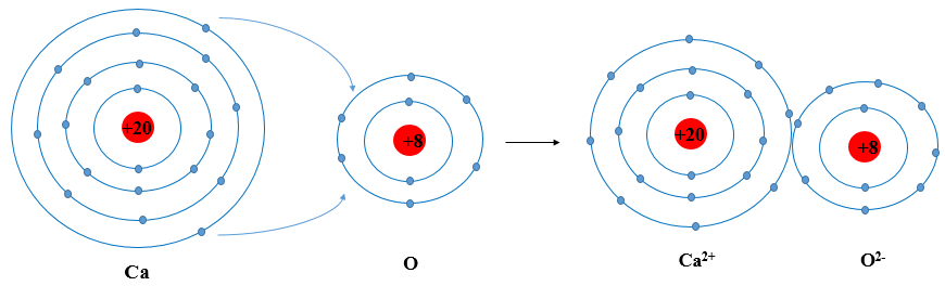 Nguyên tử Ca có 2 electron ở lớp ngoài cùng. Hãy vẽ sơ đồ tạo thành liên kết (ảnh 1)