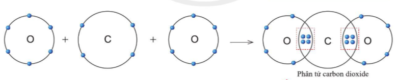 Quan sát hình 5.11, hãy cho biết trong phân tử khí carbonic nguyên tử C có bao (ảnh 1)