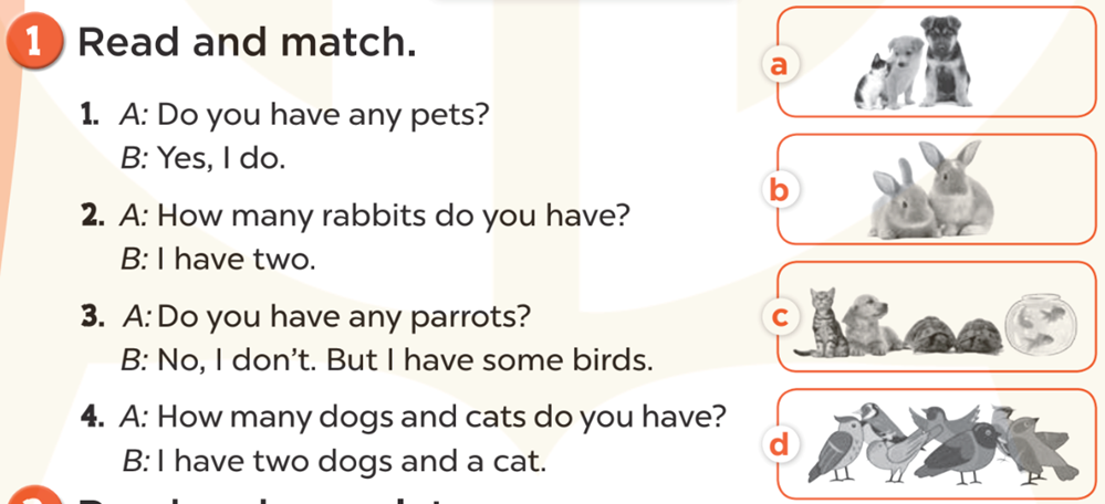 Read and match (Đọc và nối) 1. A: Do you have any pets? (ảnh 1)
