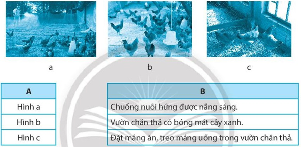 Nối hình ảnh (cột A) với yêu cầu của chuồng trại nuôi gà (cột B) cho phù hợp (ảnh 1)