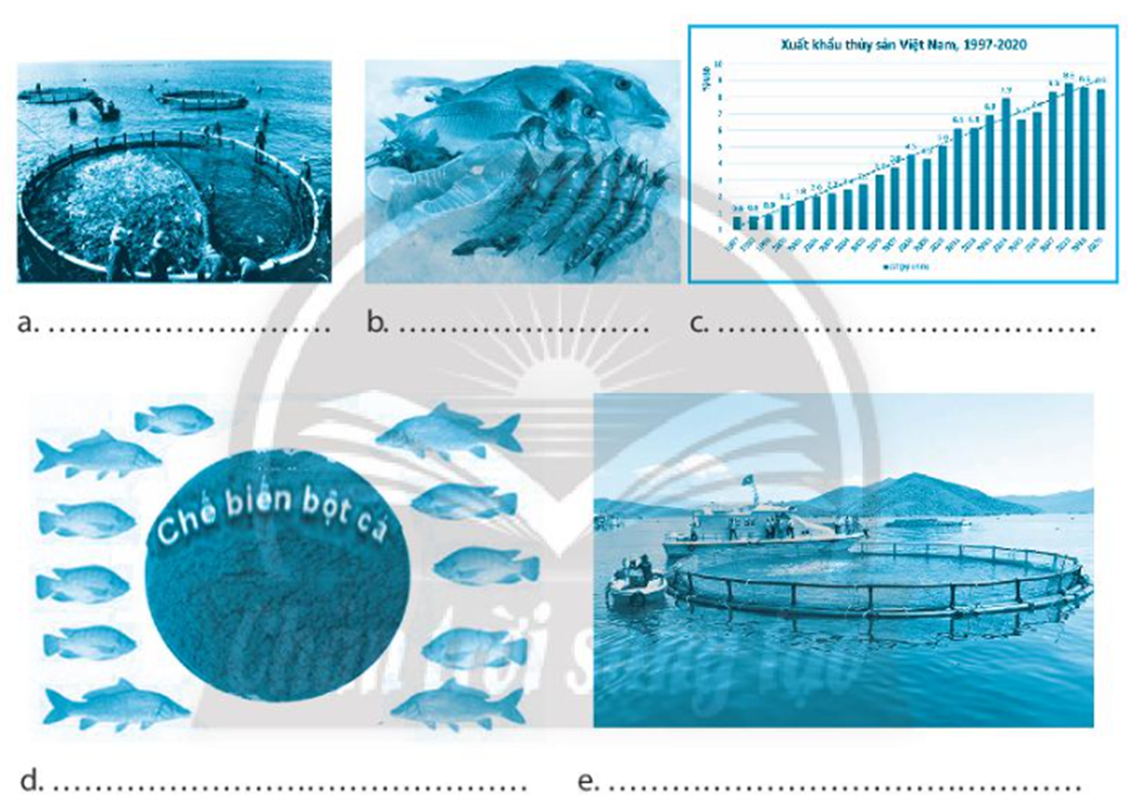 Em hãy điền vai trò của ngành thủy sản trong nền kinh tế Việt Nam vào mỗi hình minh họa dưới đây. (ảnh 1)