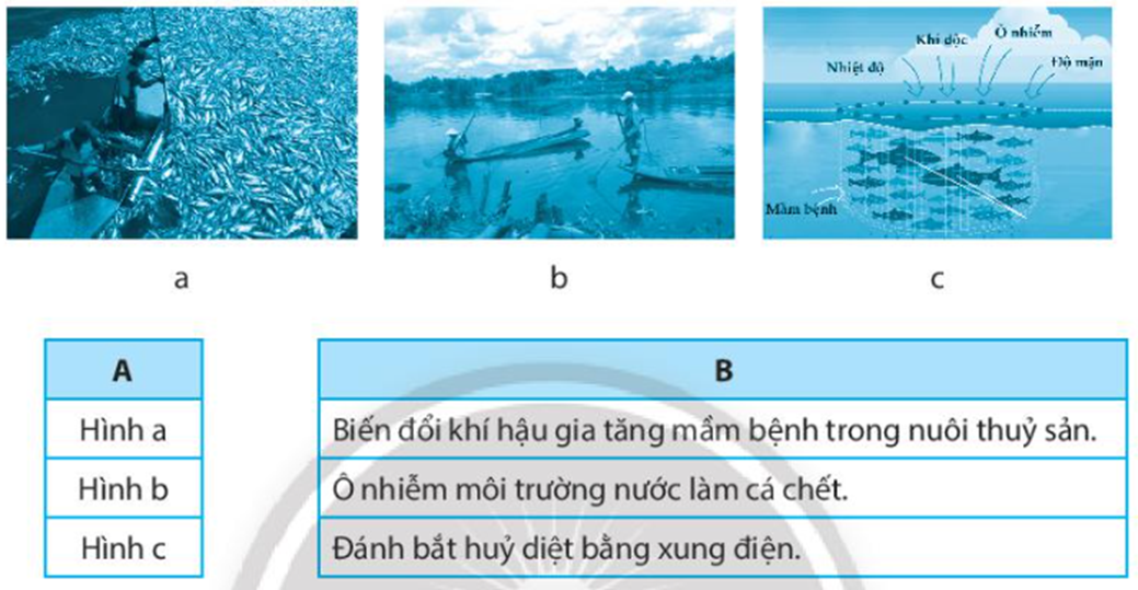 Nối hình ảnh (cột A) với nguyên nhân làm ảnh hưởng môi trường và nguồn lợi thủy sản (cột B) cho phù hợp. (ảnh 1)