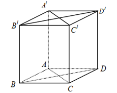 Trong không gian, cho hình lập phương ABCD.A’B’C’D’ (ảnh 1)