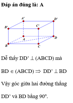 Cho hình lập phương ABCD.A’B’C’D’. Góc giữa hai đường thẳng DB và DD’ bằng:  (ảnh 1)
