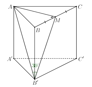 Cho hình lăng trụ tam giác đều ABC.A'B'C' có AB = 2a, đường thẳng AB' tạo (ảnh 1)