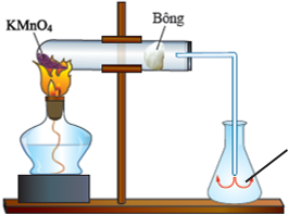 Cho hình vẽ sau dùng để điều chế khí X trong phòng thí nghiệm (ảnh 1)