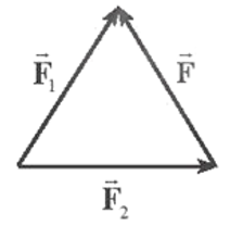 Hình vẽ nào sau đây biểu diễn đúng lực tổng hợp của hai lực vecto F1,F2 ? (ảnh 1)