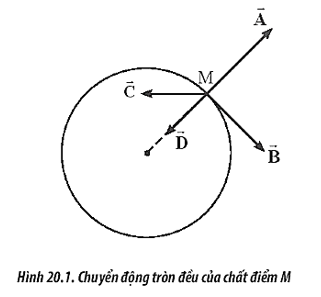 Một chất điểm M thực hiện chuyển động tròn đều như Hình 20.1. (ảnh 1)