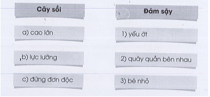 Nối đúng để được các cặp từ ngữ nói lên những đặc điểm trái ngược nhau giữa cây sồi  (ảnh 1)