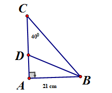 Tam giác ABC vuông tại A có AB = 21cm, góc C = 40 độ. Hãy tính các độ dài (ảnh 1)