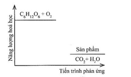 Đường sucrose (C12H22O11) là một đường đôi. Trong môi trường acid ở dạ dày (ảnh 1)