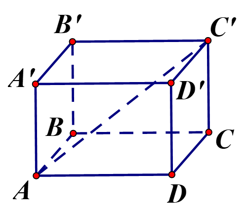 Cho hình lăng trụ đứng  ABC. A'B'C' đáy là tam giác vuông ABC tại A có  AB=6cm, AC=8cm, AA'=20cm (ảnh 1)