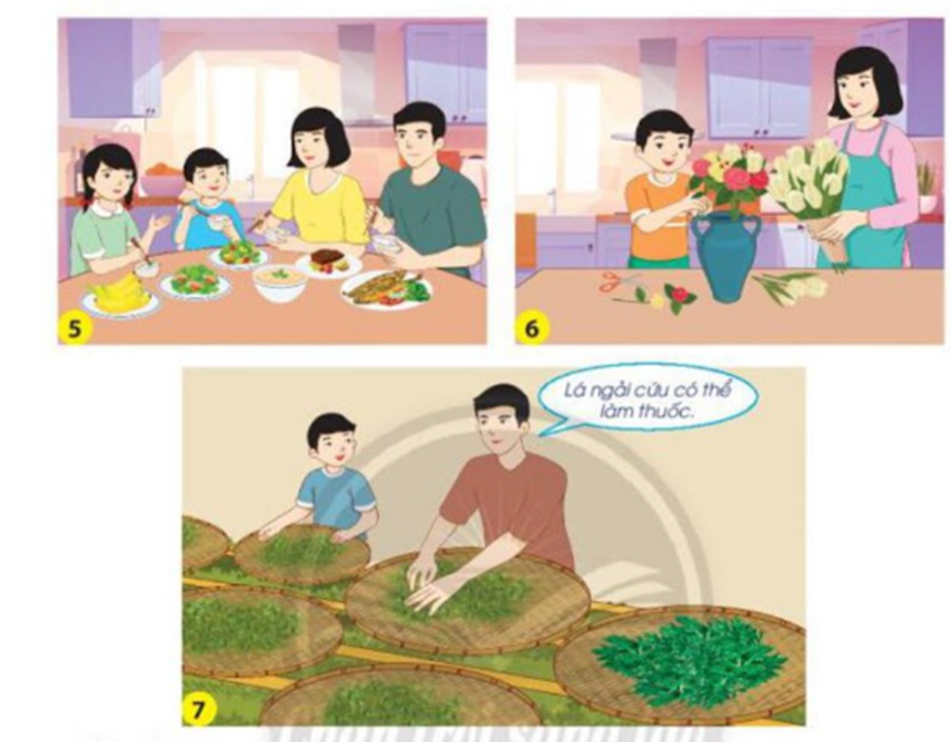 Gia đình Hoà đã sử dụng thực vật và động vật để làm gì? (ảnh 1)