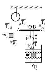  Cho cơ hệ như hình 1. Vật 1 là một khối lập phương  (ảnh 3)