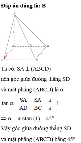 Cho hình chóp S.ABCD có đáy ABCD là hình chữ nhật (ảnh 1)