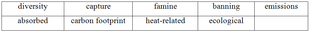 Agricultural activities, energy use, and biomass burning all contribute to CH4  __ (ảnh 1)