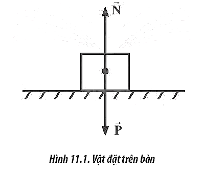 Theo định luật III Newton, các vật tương tác với nhau bằng các cặp lực trực đối gọi (ảnh 1)