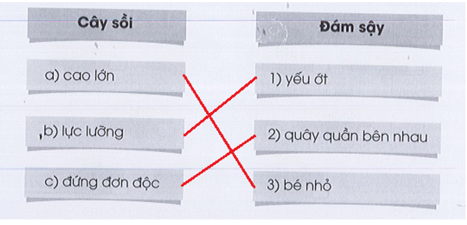 Nối đúng để được các cặp từ ngữ nói lên những đặc điểm trái ngược nhau giữa cây sồi  (ảnh 2)