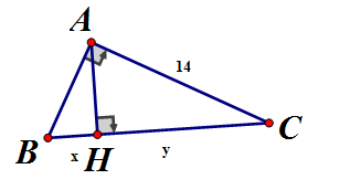 Hãy tính x, y trong hình a, b, c (ảnh 2)