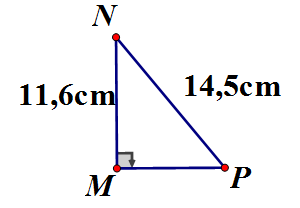 Cho tam giác MPN vuông tại M, có MN = 11,6cm; PN = 14,5cm. Giải tam giác MPN. (ảnh 1)