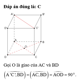 Cho hình lập phương ABCD.A’B’C’D’. Góc giữa hai đường thẳng A’C’ và BD bằng: (ảnh 1)