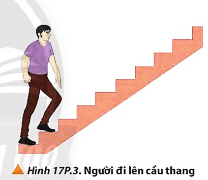 Một người đi bộ lên các bậc thang như Hình 17P.3. Các bậc thang có chiều cao 15 cm, tổng cộng có 25 bậc thang. Người đi bộ này có khối lượng là 55 kg, chuyển động lên với tốc độ xem như không thay đổi từ bậc thang đầu tiên cho đến bậc thang cuối cùng là 1,5 m/s.     (ảnh 1)