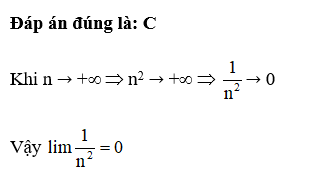 Giá trị của lim 1/n^2  bằng: (ảnh 1)