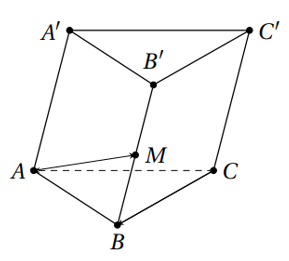 Cho hình lăng trụ ABC.A’B’C’, M là trung điểm của BB’. Đặt   (Tham khảo hình vẽ).  (ảnh 1)