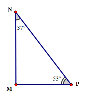 Cho tam giác MNP có số đo như hình vẽ:  Có bao nhiêu khẳng định đúng trong các (ảnh 1)