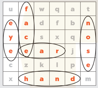 Find and circle five words (Tìm và khoanh tròn 5 từ) (ảnh 2)