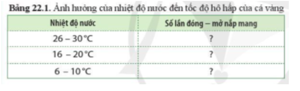 Thí nghiệm: Ảnh hưởng của nhiệt độ nước đến tốc độ hô hấp của cá vàng. (ảnh 2)