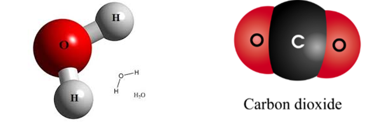 O a Carbon dioxide H c Ammonia b Hydrogen chloride нс d Ethanol Hình  47 Mô hình phân tử của một số hợp chất H H 4 Quan sát hình 47 và nêu  đặc điểm