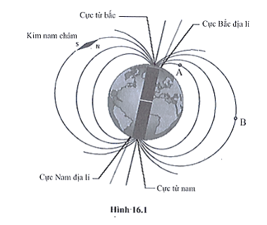 Trái Đất là một thanh nam châm khổng lồ. Hình 16.1 là hình ảnh của một kim nam (ảnh 1)
