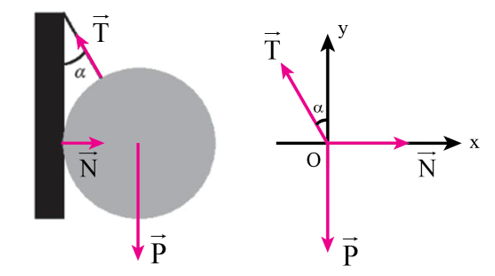 Một quả cầu có trọng lượng P = 40 N được treo vào tường nhờ 1 sợi dây hợp với (ảnh 2)