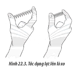 Hãy vẽ vectơ biểu diễn lực do tay tác dụng lên lò xo để lò xo có biến dạng nén (Hình 22.3) (ảnh 1)