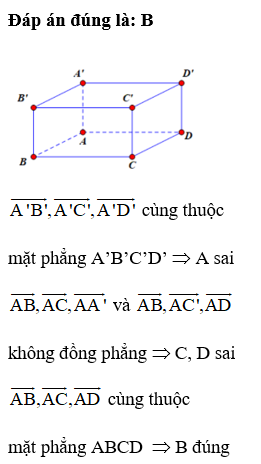 Cho hình lập phương ABCD.A’B’C’D’. Chọn khẳng định đúng trong các khẳng định sau: (ảnh 1)
