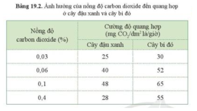 Đọc thông tin ở bảng 19.2, và cho biết ảnh hưởng của nồng độ carbon dioxide đến quang hợp (ảnh 1)