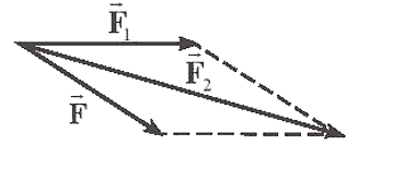 Hình vẽ nào sau đây biểu diễn đúng lực tổng hợp của hai lực vecto F1,F2 ? (ảnh 4)