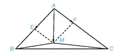 Cho tam giác ABC . Lấy E là trung điểm của AB và F thuộc cạnh AC  (ảnh 1)