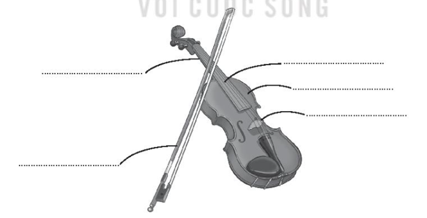 Viết tên một số bộ phận của cây đàn vi-ô-lông vào chỗ trống (……).  (ảnh 1)