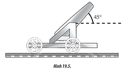 Một khẩu pháo được gắn chặt vào xe và xe có thể di chuyển dọc theo đường ray nằm ngang (ảnh 1)