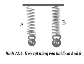 Hai lò xo A và B có chiều dài tự nhiên như nhau được treo thẳng đứng. Lần lượt treo (ảnh 1)