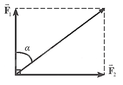 Hai lực có giá đồng quy, vuông góc có độ lớn các lực thành phần là F1 = 6N và F2 = 8N (ảnh 2)