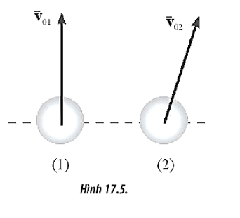 Hai vật nhỏ giống hệt nhau được ném với cùng tốc độ ban đầu tại cùng một độ (ảnh 1)