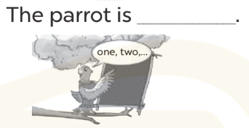 Look, complete and read (Nhìn, hoàn thành và đọc) The parrot is (ảnh 1)