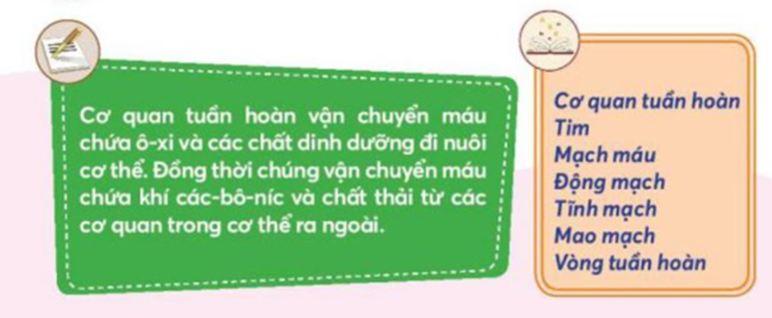 Điều gì sẽ xảy ra với cơ thể nếu tim ngừng đập? Vì sao? (ảnh 1)