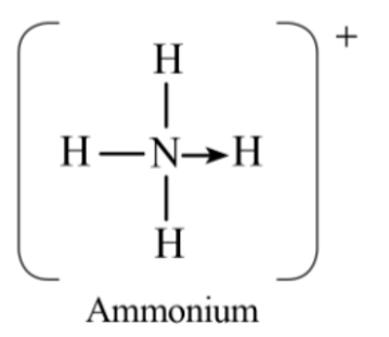 Cho biết hóa trị của một nguyên tố trong phân tử bằng tổng số liên kết σ và pi (ảnh 1)
